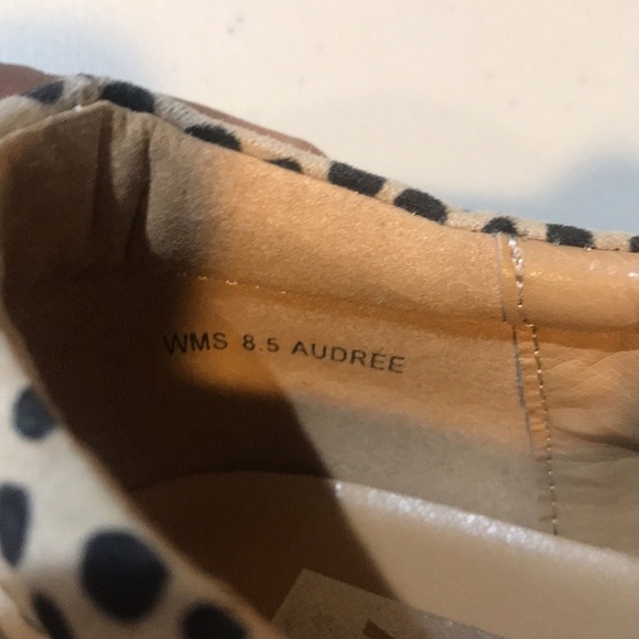 DV Dolce Vita Audree women’s Slip On Sneaker with Zipper Detailing-Size 8.5 - Picture 7 of 8